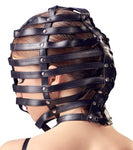 Head mask cage